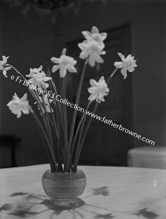 FLOWERS IN VASE